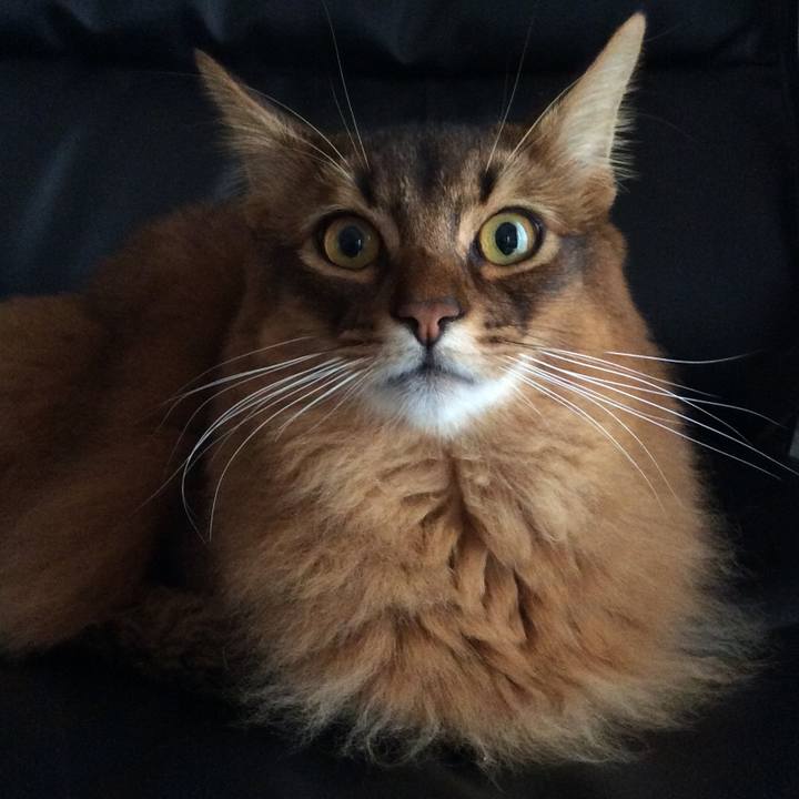 79cbc89e d138 4a4c bfd4 19d9b90948b8 1605051531415