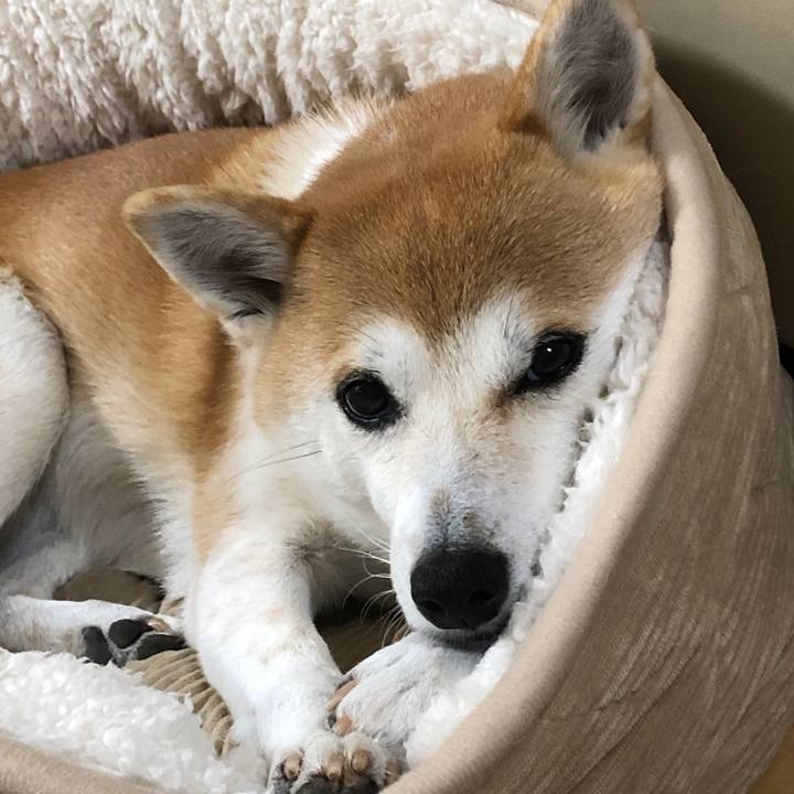 79cbdbbe a026 40a9 9222 701cbdfb893e 1582679992138