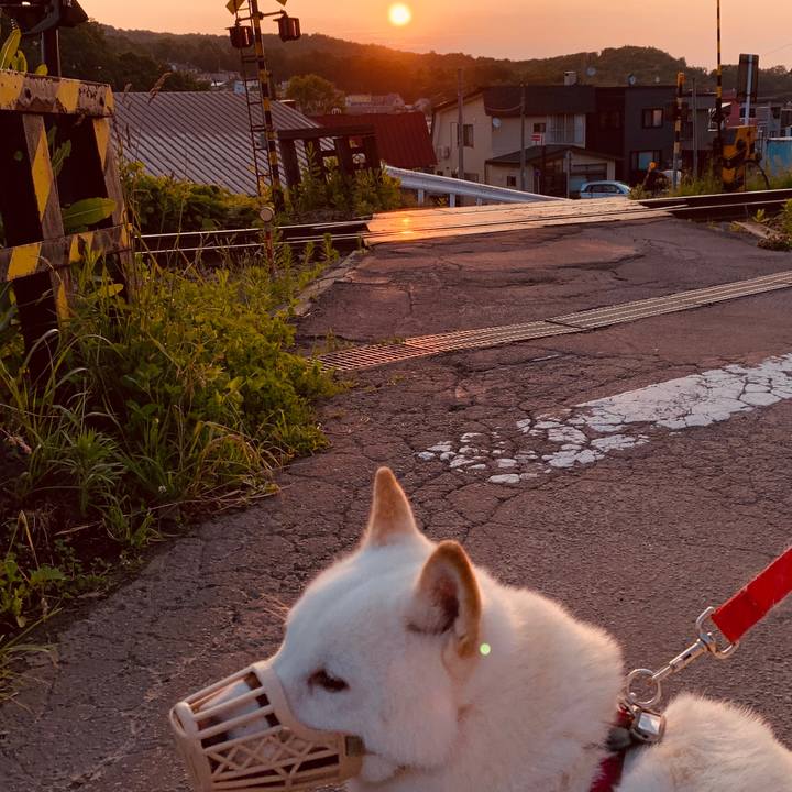 79cc1241 de9d 48b3 abb2 7c1f63a328ab 1594325104448