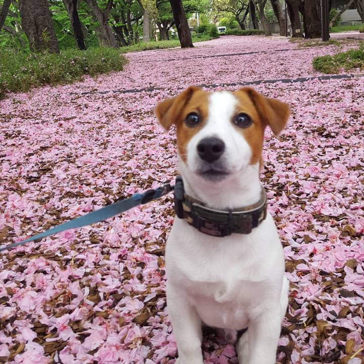 79cc1c0f 9c53 4577 8180 d140b42e4404 1556260872970