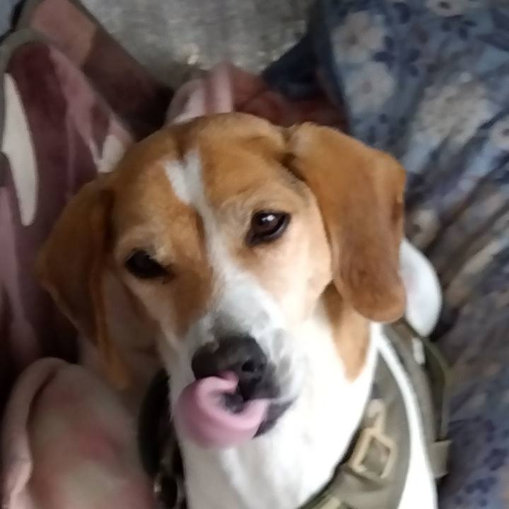 79cc2b36 3e7c 449c ad5b 39bcf7ad975c 1676532397254