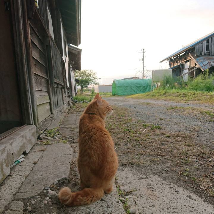 79cc3636 8d8d 4b5f 9be2 1481f890e2dc 1657486488389