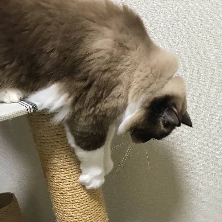 79cc6ddb 9f2f 4de2 80a7 e648246f47d0 1508162395405