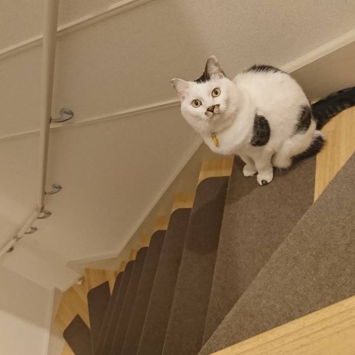 79cc94ca 5bcb 409f 8739 3f6dd74188f1 1521948522401