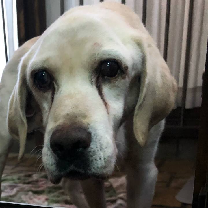 79ccc8b2 7a97 4ca1 aeca 3a511e4b015b 1508048848018