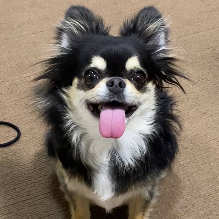 79cd38d4 9d90 4781 b317 99ad85ae8228 1629549799773