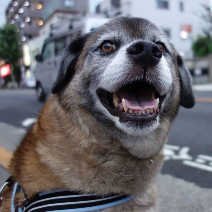 79cd5fab 849a 4870 909a 5880984ff264 1530702540190