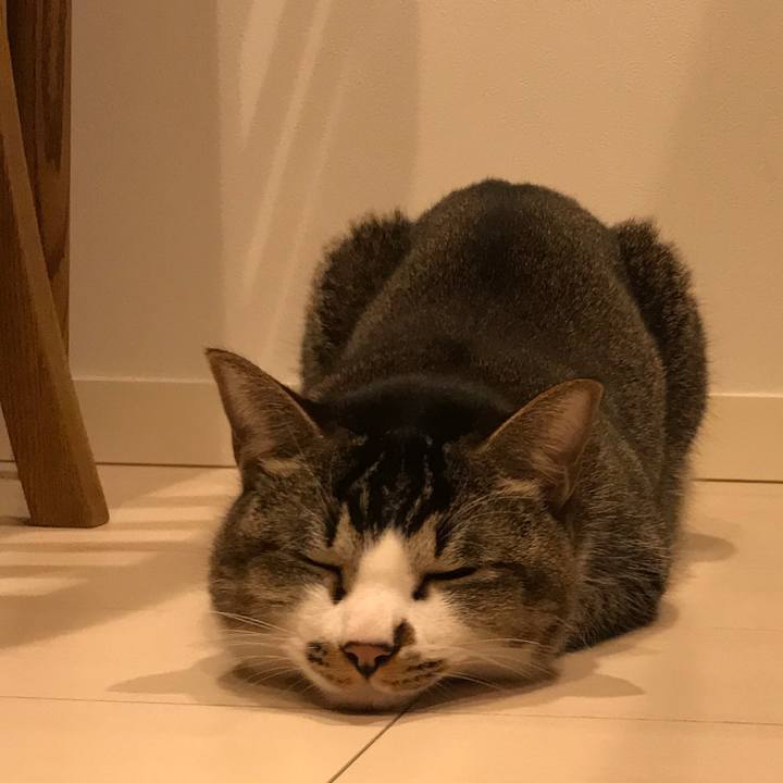 79cda11f 28fd 4b35 9919 8200a4b0218e 1520519635759