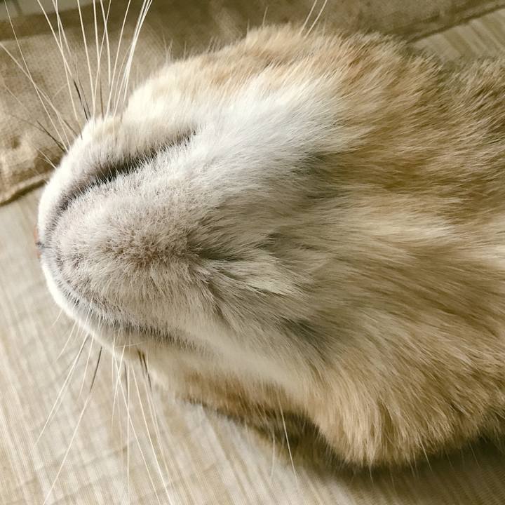 79cdb6e5 c0a1 49c1 9aa1 068d6d88134b 1591138695321