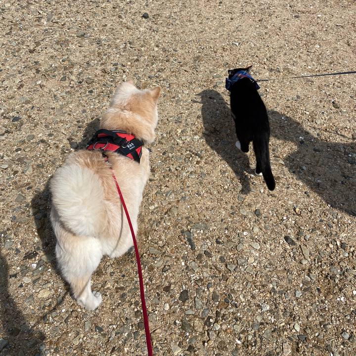 79cdc887 f577 4aee 9232 8813ef5295cb 1678676712386