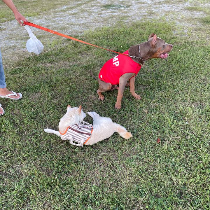 79cdcd21 8b46 4c71 87dd 50f52a567c1e 1659359447681