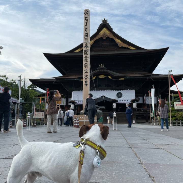 79cdd544 77ee 4447 8f0f 057d0dc19ba0 1654073226432