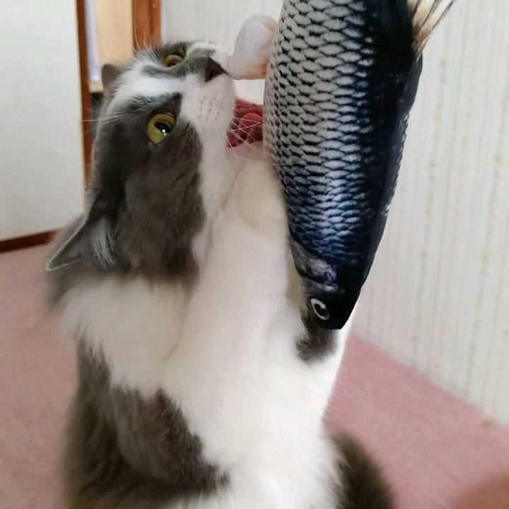 79cddf02 0b0b 469e af96 29695b85c902 1584256741076