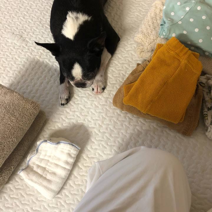 79ce09d2 0906 496e bfe6 c62204985048 1705623819977