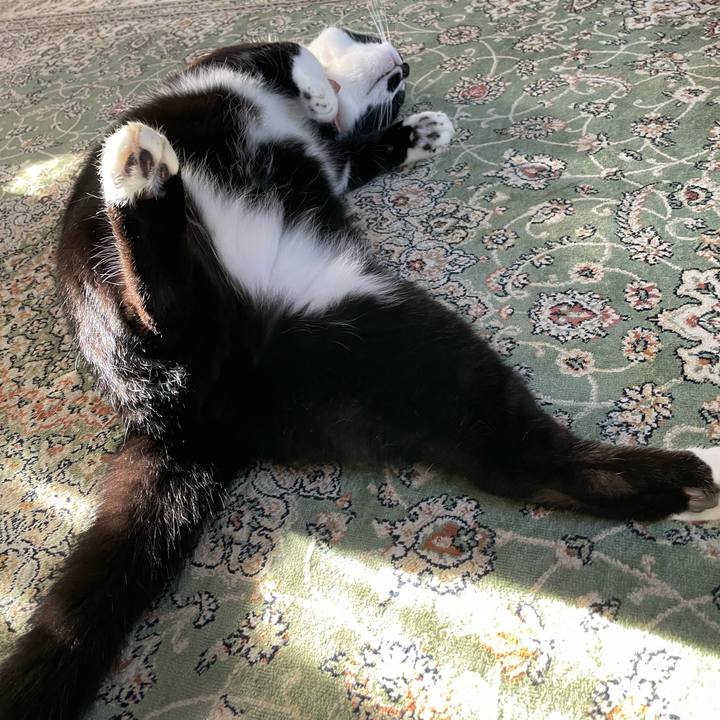 79ce55b7 5324 4e55 876a f7c9da03a8af 1760680305028