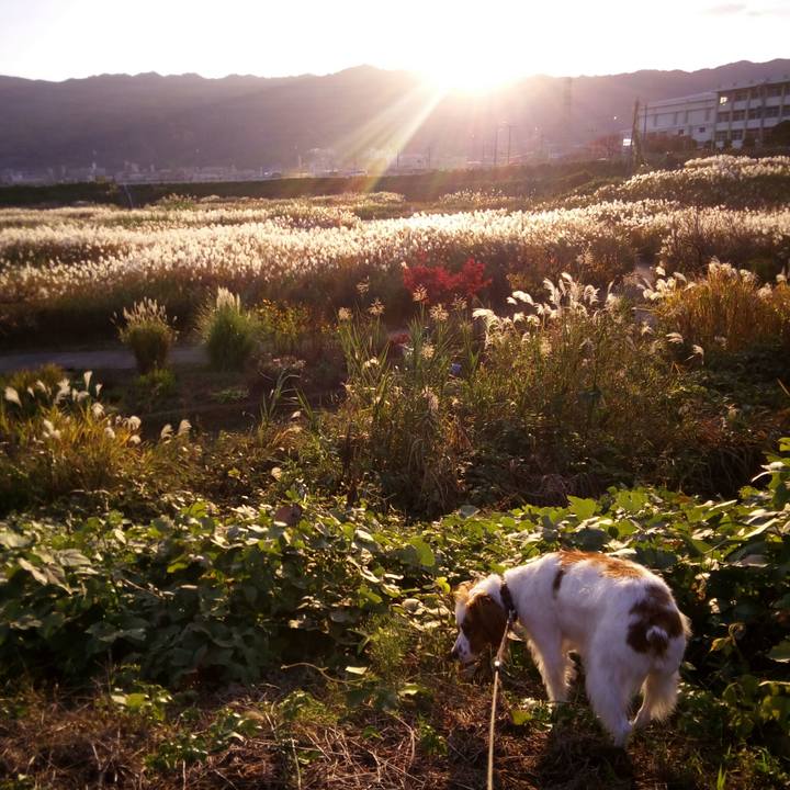 79ce6974 1534 4570 bb3a 7327d569ee40 1510834414581