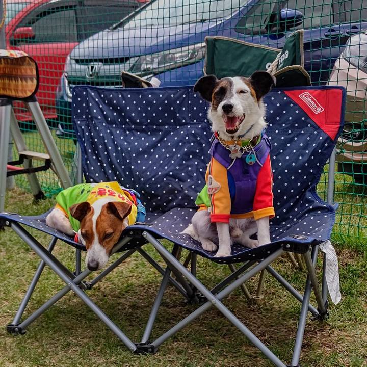 79ce6bbb ce02 4124 a125 bbf2a923d8ac 1652584821802