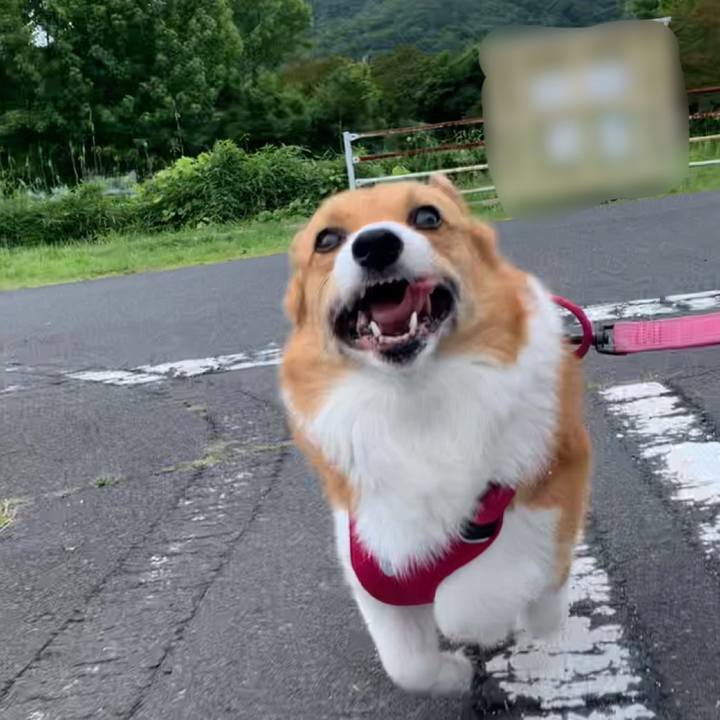 79ce8e3a d7c4 4539 93d6 da0315ef99c9 1655274810912