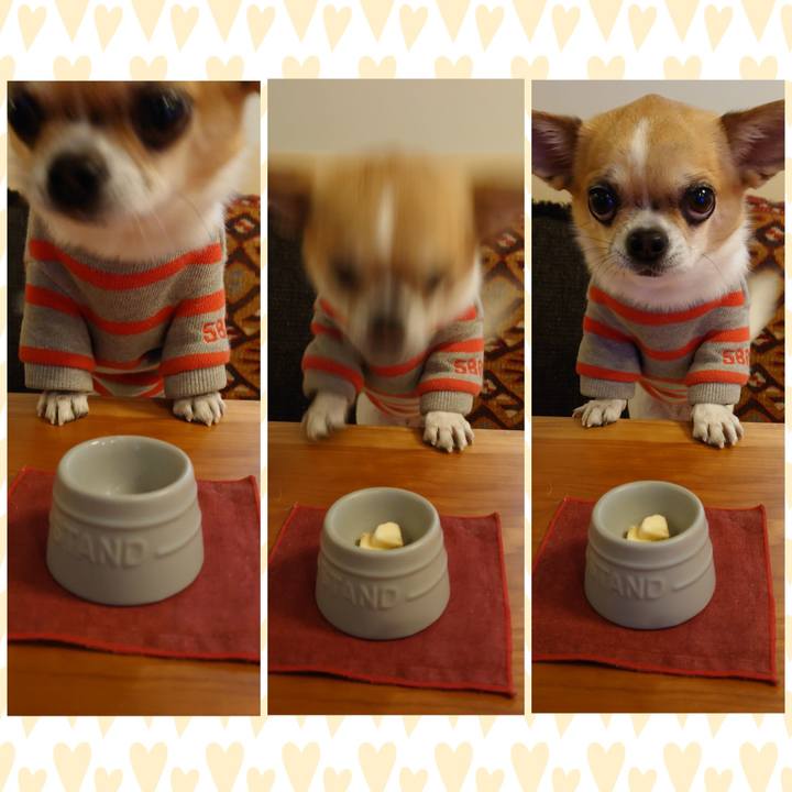 79ce8f11 9028 4b61 aa97 12b177b83e69 1709464025676