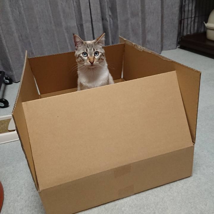 79ce93e0 63ca 4b69 aa67 16601a0bc725 1522238324794