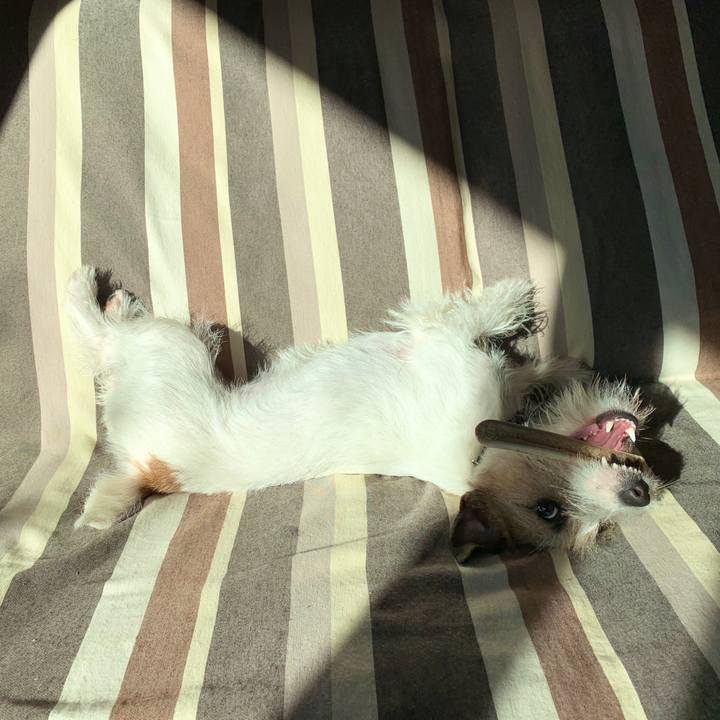 79ce9e5c 5444 4954 a7ed 0484f6f3f909 1580947832759