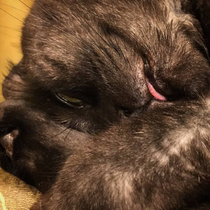 79cf170d 0d0d 4b24 97f7 3d7102583fa9 1532773843559