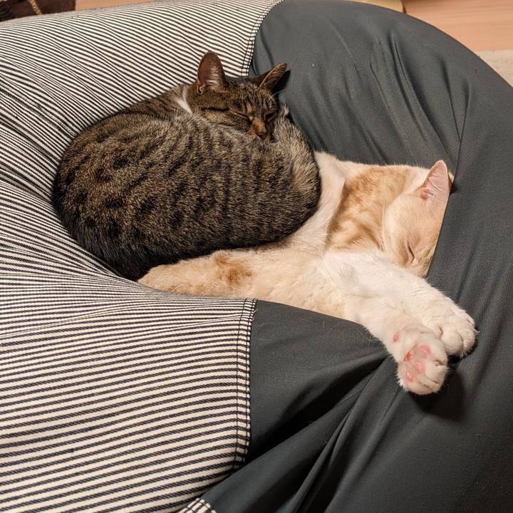 79cf328b ab9b 497e 8e1a c907863f815e 1717069025892