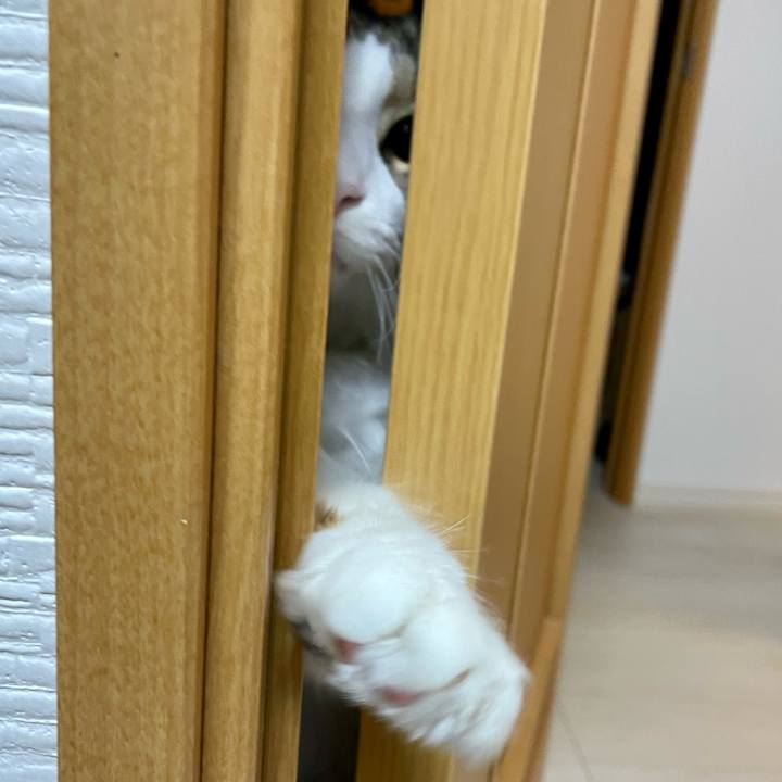 79cf3ed2 2561 4382 beb2 31a6165f2b5c 1677932639409