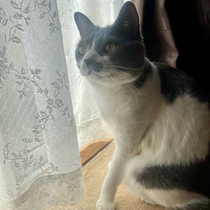 79cf5e0d f64b 4cb7 87f3 eb7ea702494c 1680394678581