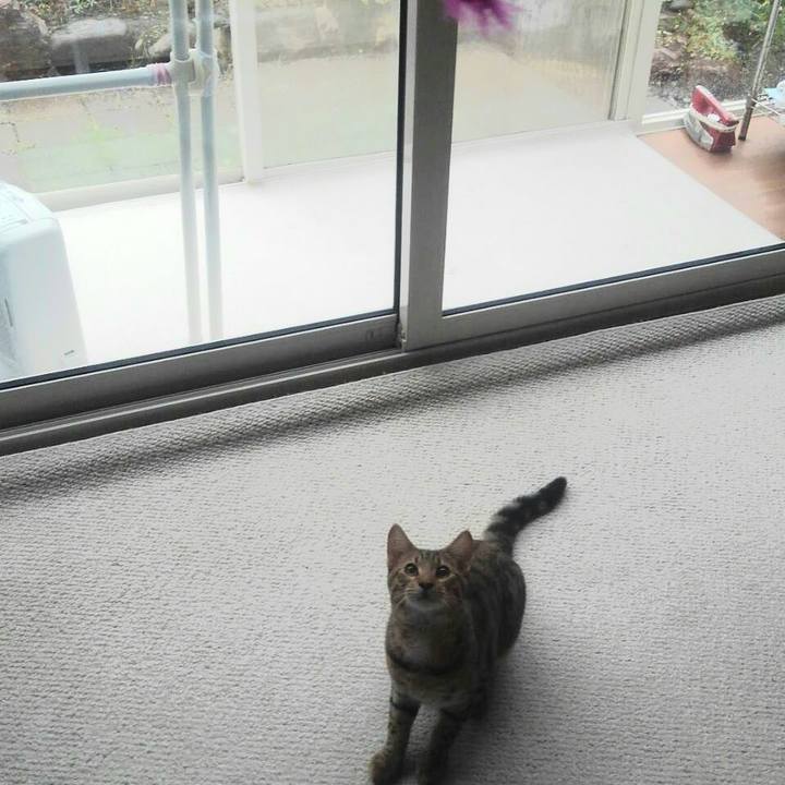 79cf8da6 e7db 4d9c 8260 25ce7d3357b7 1570201491364