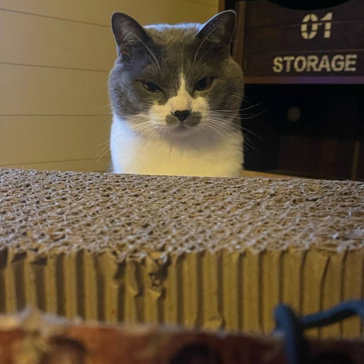 79cf8dd7 2d46 4cf5 bb28 a8000907f2de 1669272300714