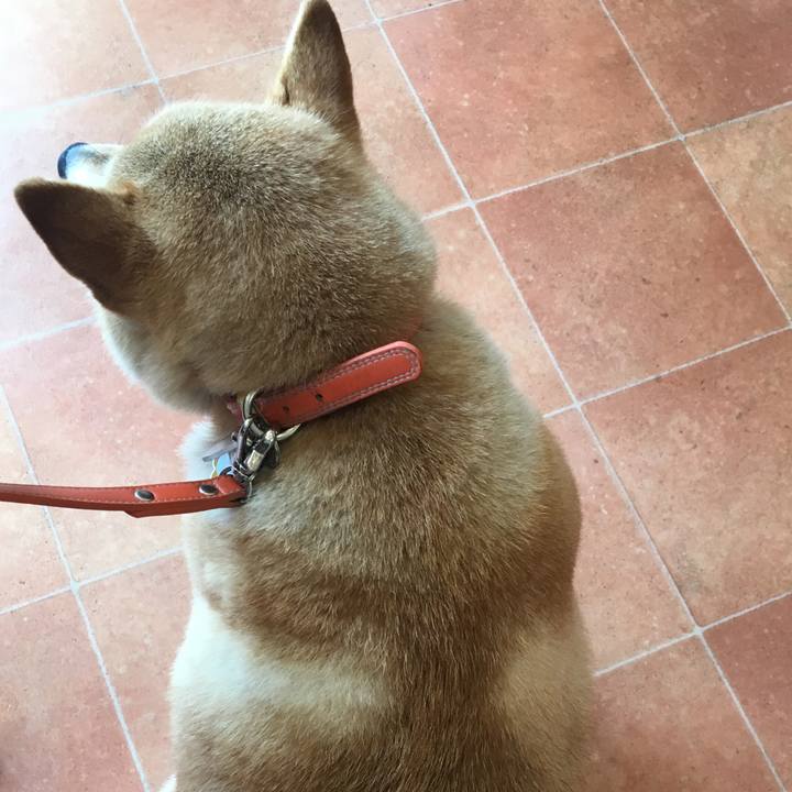 79cf96da 7ea2 44e4 abe8 7d6c2a620cff 1562299341675