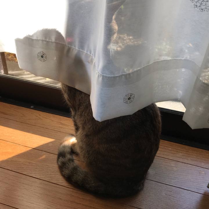 79cfb8aa 348d 4e62 8298 e83c93269233 1575179621753