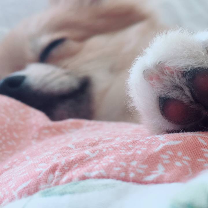 79cfcbd2 6090 4353 a2c2 f50af96134c1 1521851967149