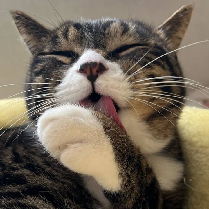 79cfd5a2 7cc4 41cd 9b11 ea4f035c97df 1772840636808