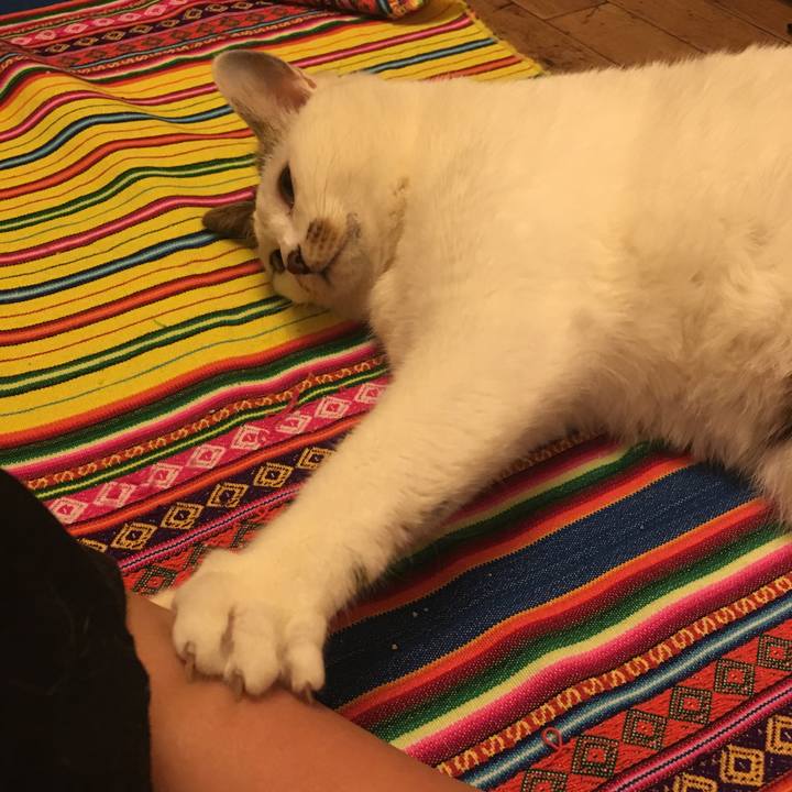 79d03a82 b025 4005 9306 04532510c6de 1524916782238