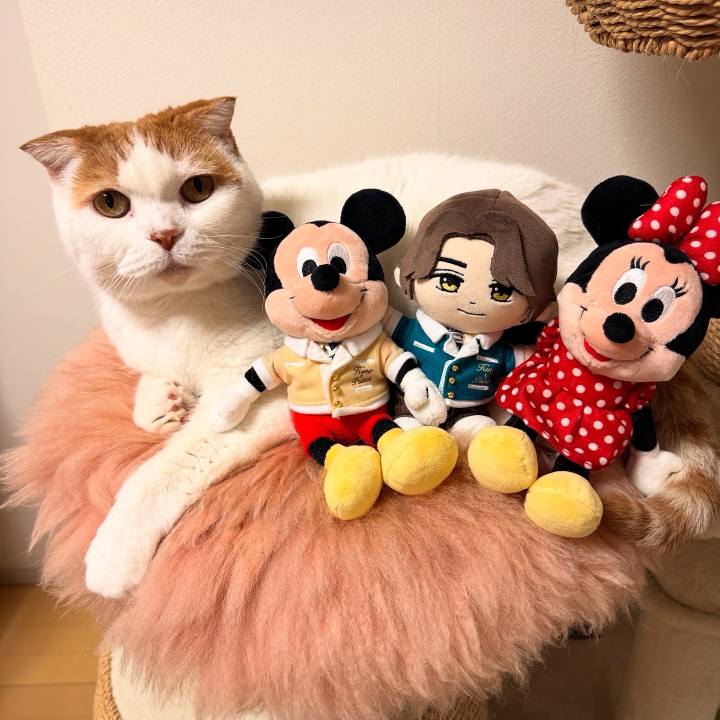 79d041ce a52c 46aa aa59 4d06af1a9486 1763467318126