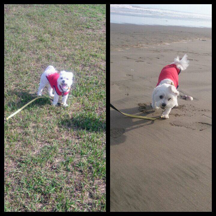 79d0548f 5bfc 4c52 8362 ca48290c6ec4 1507449556430