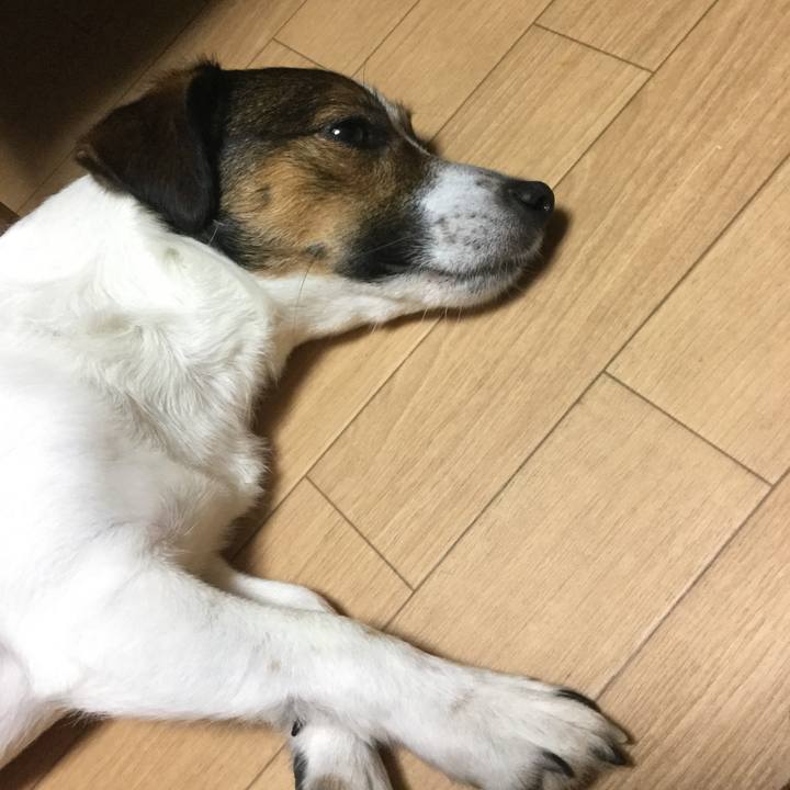 79d0a113 9129 4dab 9b77 4aff91e8adfc 1531911009262