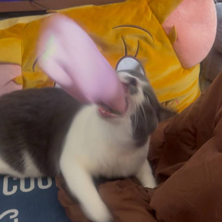 79d0b734 1b43 4ed1 8866 b3bbe3f9e750 1733974252577