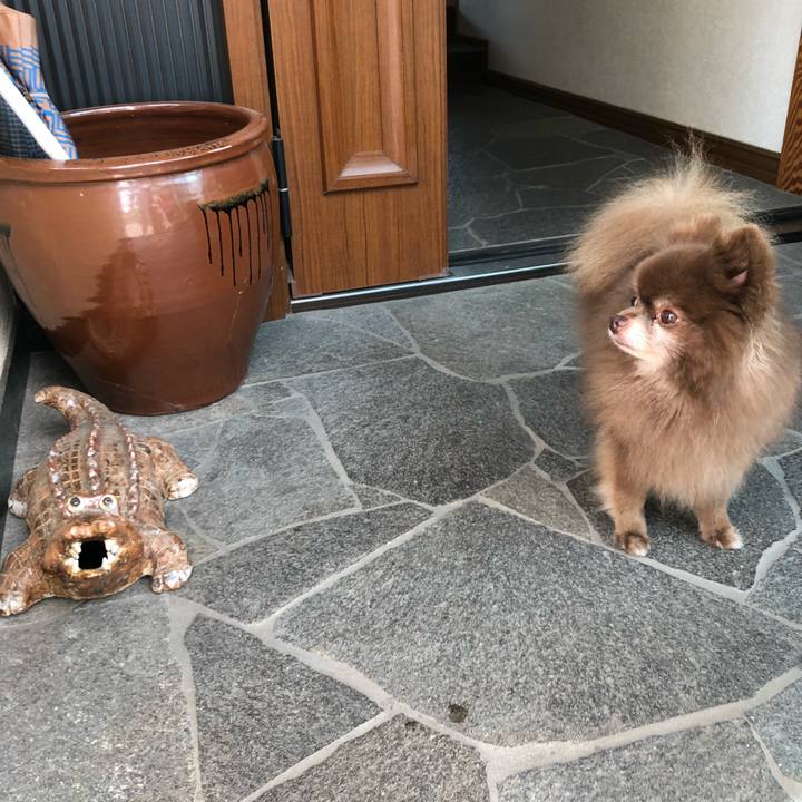 79d0e3c3 5685 4409 a2c0 4deaf54262be 1567055237394