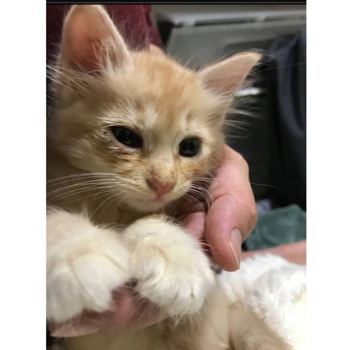 79d10138 08e3 4d7b 842b 18ac3450845a 1619173475819