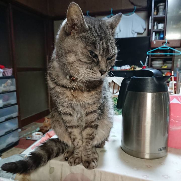 79d10851 1dee 4a3a 9583 46121f28a09c 1577909820431