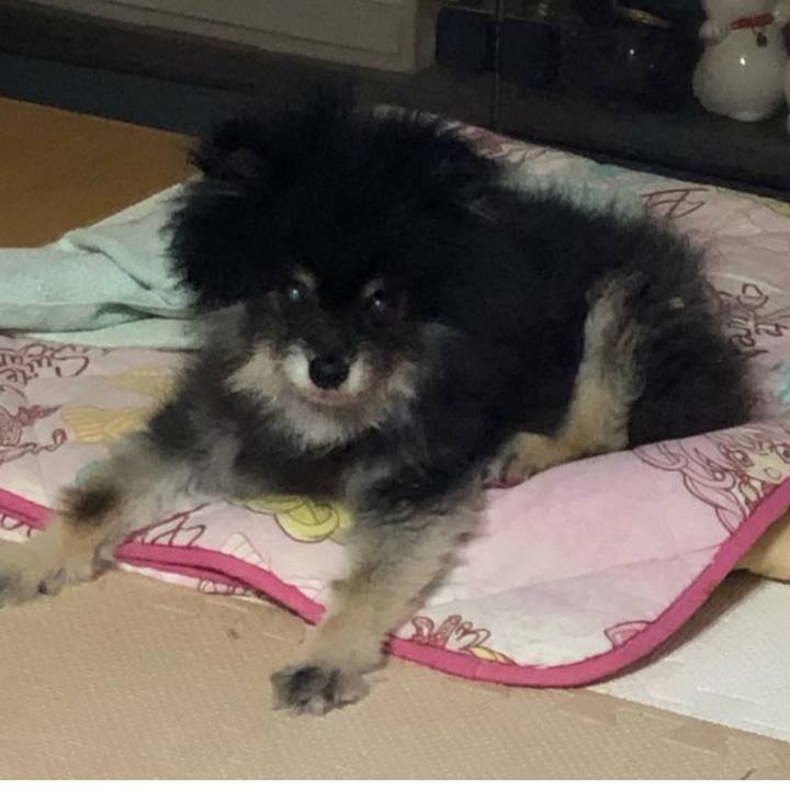 79d11526 91ee 474a 984f c439631f2f74 1675572791439