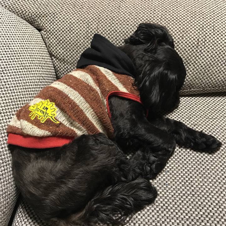 79d14c00 c1be 40c6 b75c 82c31358a2f2 1545665543980