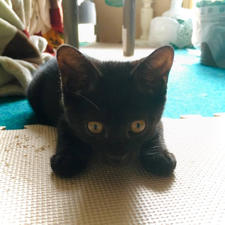 79d16a90 fd96 40b2 9b36 3492e8e43c29 1626171477845