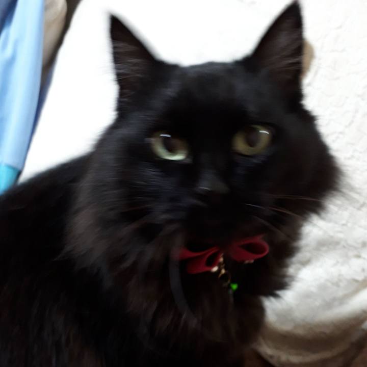 79d18e19 fcbd 4df5 aa3e 723e60bcaaf2 1519337050247