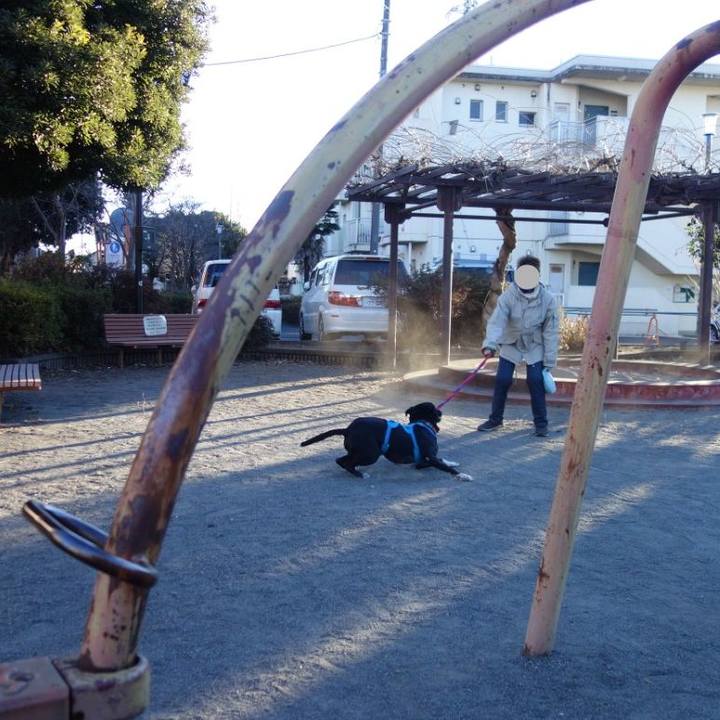 79d19afd c188 4ae2 acd0 2062dc280b2e 1610151032782