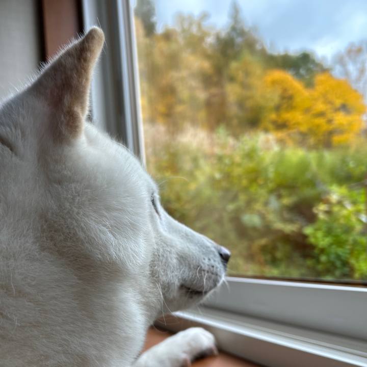 79d1b96f befb 4f2b b157 a6817bb773db 1698458965994