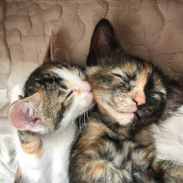 79d1cb03 134c 4c71 a7e2 db8740f3fb4b 1711246203245